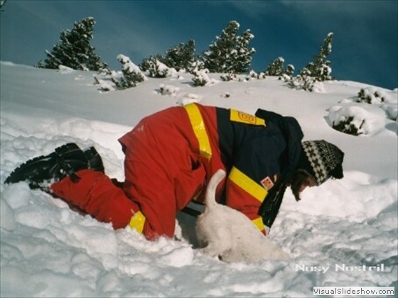 Bild 20 - Wintersport Lawinentraining. Angezeigt wird durch Eindringen, gemeinsam wird gegraben.