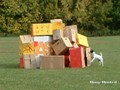 Bild 05 - Rettungshunde-Vorführung bei der KfT-KSP 2003